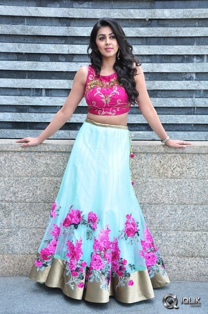 Nikki-Galrani-at-Krishnashtami-Movie-Platinum-Disc-Function